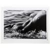 Image 1 : Lucien Clergue, Nu de la Mer (No. 2), Photograph