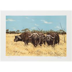 Joseph Vance, Cape Buffalo, Lithograph