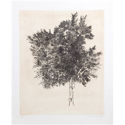 Aubrey Schwartz, Tree, Etching