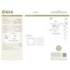 Image 2 : GIA/Cusion/FANCY-CLR/IF/4.06