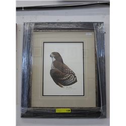 Framed print: "Red Tailed Hawk" by Ray Harm