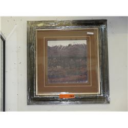 Framed print: "A Stranger" by Rod Fredericks