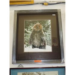 Framed print: "Grizzly Encounter" - James T. Jones