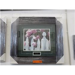 Framed print by Terry Isaac "Millie's Garden"