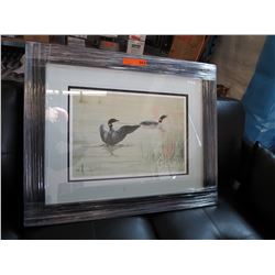 Framed print: "Courting Loons" by Lisa Calvert