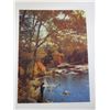 Image 6 : 20 Colour prints suitable for framing