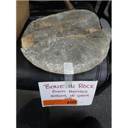 Fossilized bone in rock