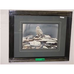 Framed print: "Winter White" by Morten E. Solberg