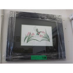 Framed Richard Shorty print - Hummingbird