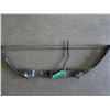 Image 1 : Compound bow - American