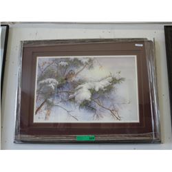 Framed print: "The Saw Whet Owl" by Wee Lee