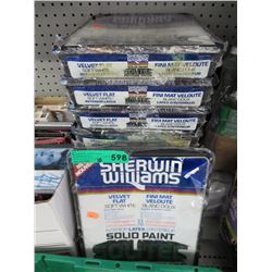 10 New solid paint tray -white