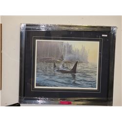 Framed print: "'A' Pod" by Bill Maximick