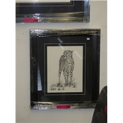 Framed print: "Cheetah" by C. Marsden Huggins