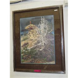 Framed print: "Prayer for the Wild Things"