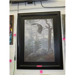 Framed picture of a soaring eagle