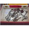 Image 1 : 20 Skeleton keys, some antique