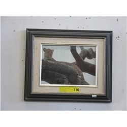 Framed Robert Bateman print of Leopards