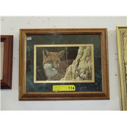 Framed Robert Bateman print of a Fox