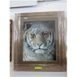 Framed print: "Tiger Portrait" by Robert Bateman