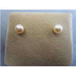 10KT Yellow Gold New Pearl Stud Earrings