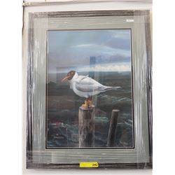 Framed print: "Lachmowe" (Seagull)