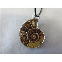 Ammonite pendant