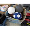 Image 1 : 7 Sports balls - used