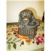 Image 1 : Coonhound in a Basket