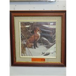 Framed print of a Fox