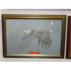 Framed print of an Eagle