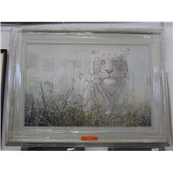 Framed print: "Monsoon White Tiger"
