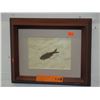 Image 1 : Framed Fish Fossil replica