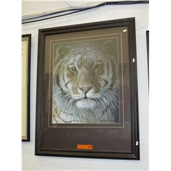 Framed Robert Bateman print of a Tiger