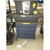 Image 1 : Plastic shop cart with bottom storage