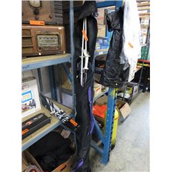 Pair of used Tyrolia skis & poles in case