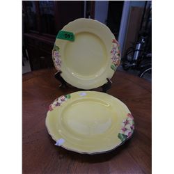 2 Vintage Royal Winton "Grimwades" plates