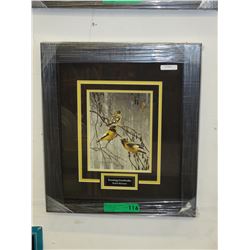 Framed print: "Evening Grosbeaks"