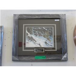 Framed print: "Cougar in the Snow"
