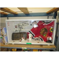Chicago Blackhawks Memorabilia in Display Case