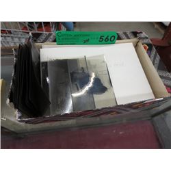 Vintage photographic negatives - European