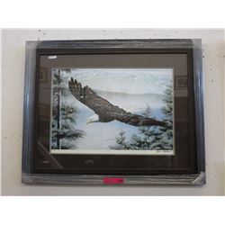 Framed print: "Eagle" by Jim Colins