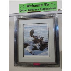 Framed print: "Eagle in Winter" by Alan Hunt