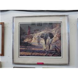 Framed print: "Shades of Samburu" by Andrew Kiss