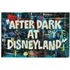 Image 1 : “Disneyland After Dark” original title card.