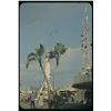 Image 2 : Collection of (42) color amateur slides of Disneyland circa 1956-57.
