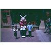 Image 2 : Collection of (36) color amateur slides of Disneyland circa 1964.