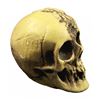 Image 2 : Randotti Haunted Mansion  souvenir skull.