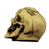 Image 4 : Randotti Haunted Mansion  souvenir skull.