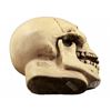 Image 4 : Randotti Haunted Mansion  souvenir skull